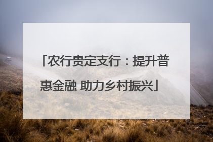 农行贵定支行：提升普惠金融 助力乡村振兴